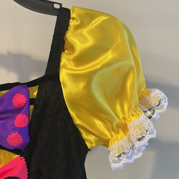 Costume Dress - Picture 7 of 7